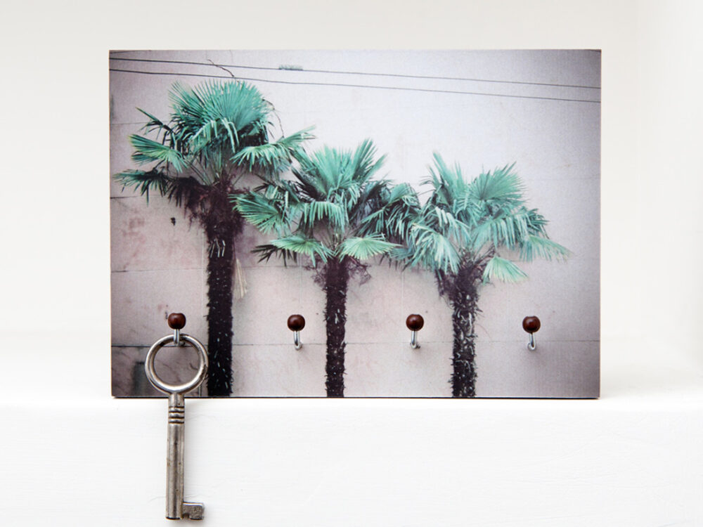 Palmen C Schlüsselbrett Palmen C aus eigener Fotografie von Frau Plonka