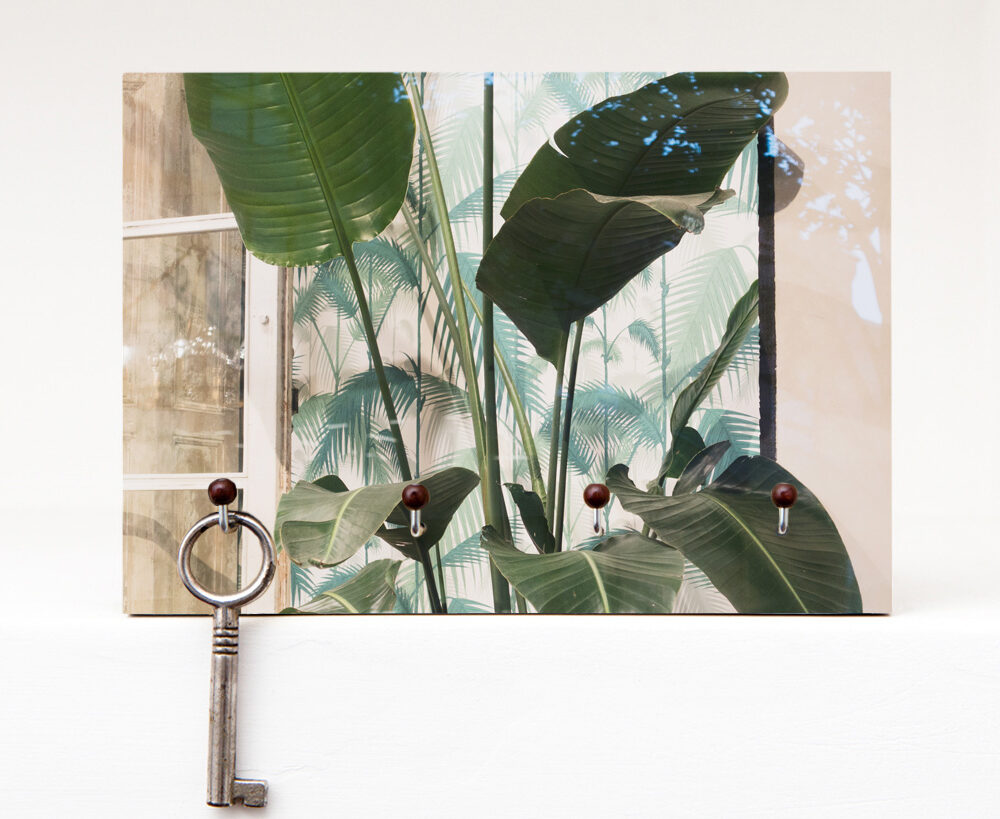 greens pflanze grün Schlüsselbrett Greens aus eigener Fotografie von Frau Plonka