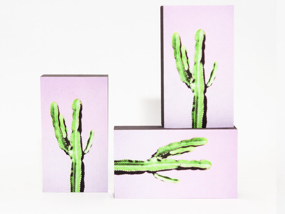 Kaktus III 3er-Set