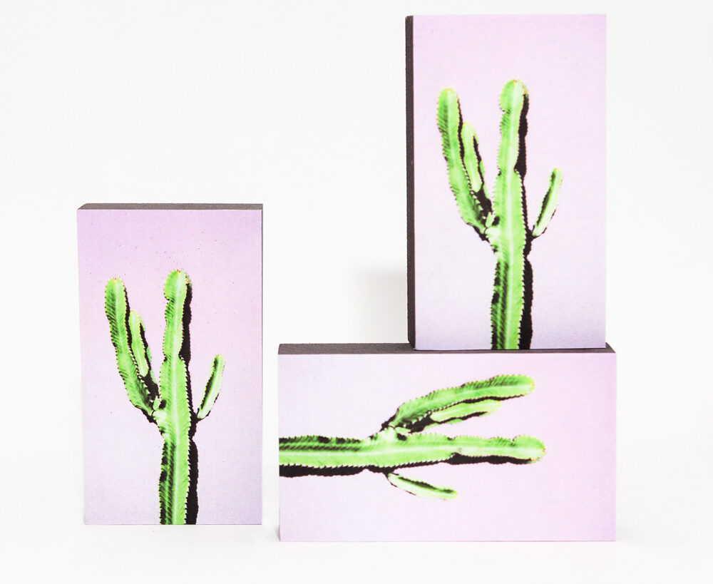 Kaktus III 3er-Set
