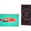 Fische rot 3er-Set
