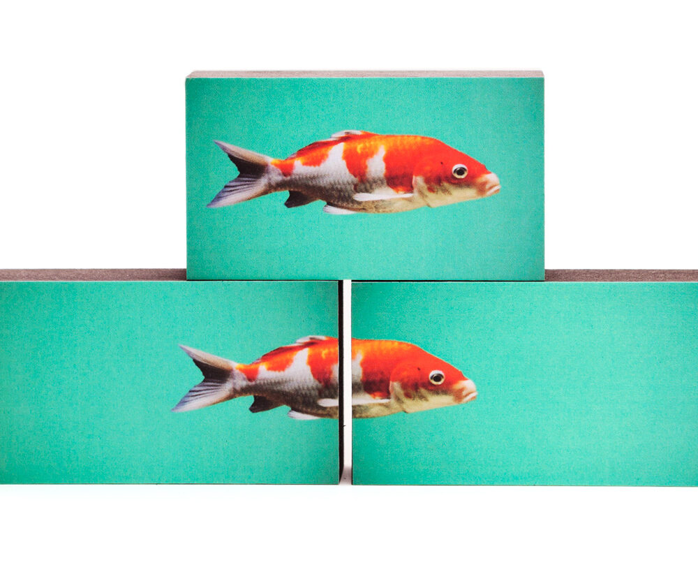 Fische rot 3er-Set