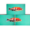 Fische rot 3er-Set