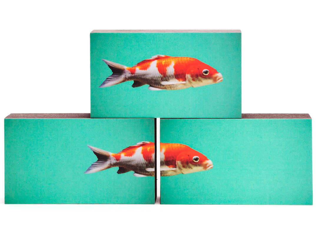 Fische rot 3er-Set