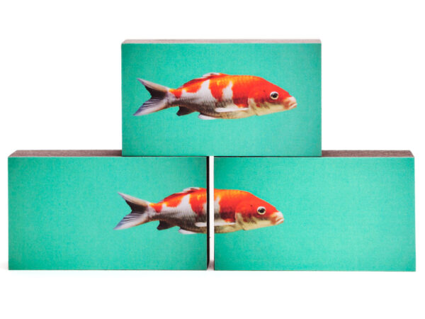 Fische rot 3er-Set