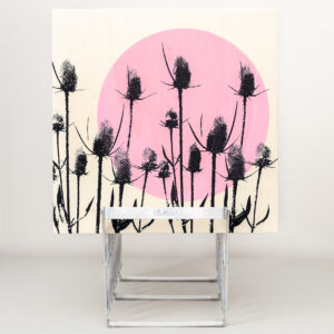 Wilde Karde - Dipsacus