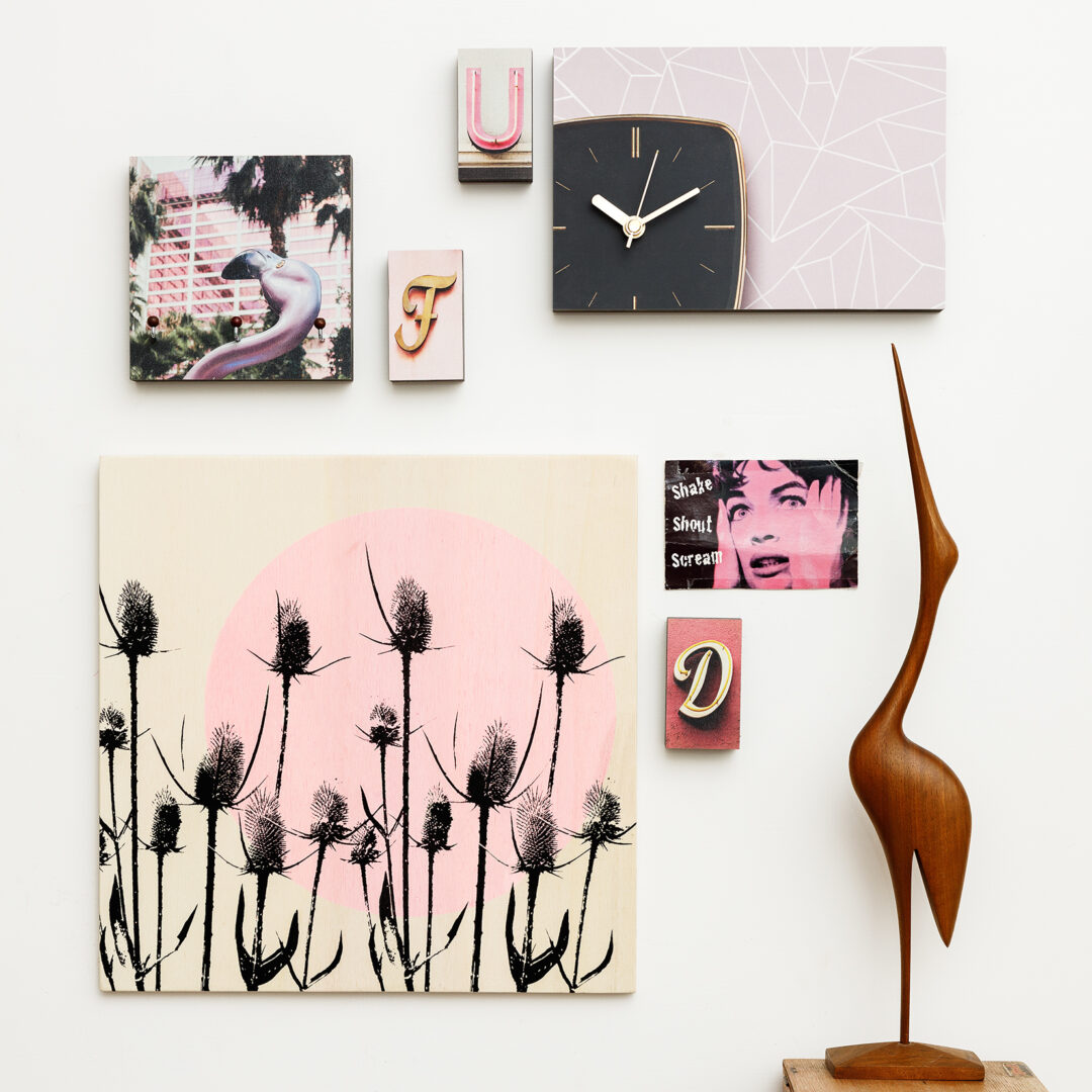 Wilde Karde - Dipsacus