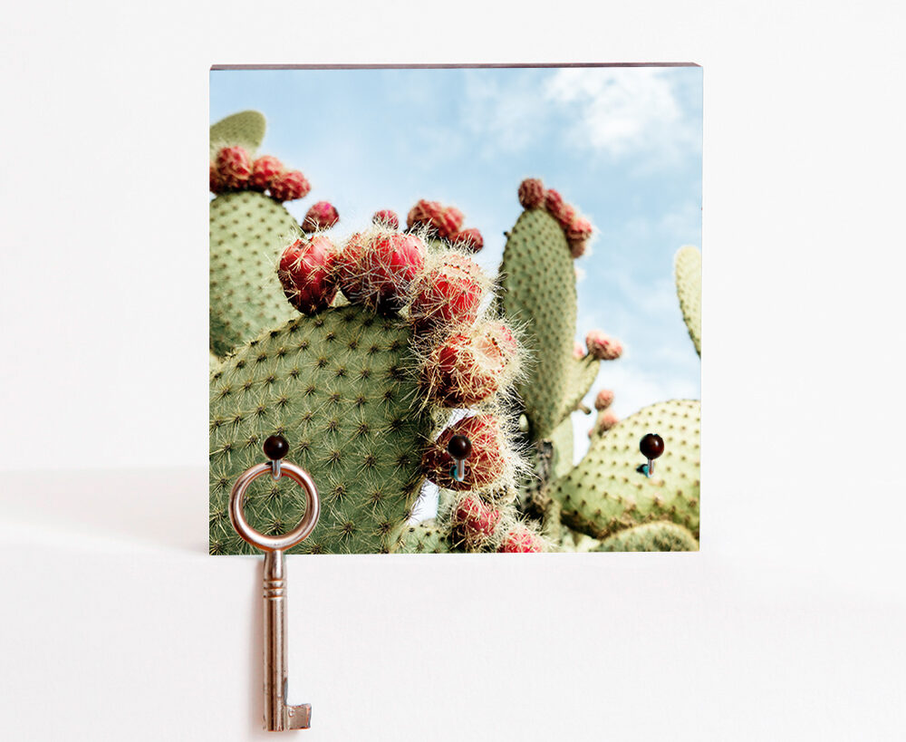 Schlüsselbrett Cactus Schlüsselbrett Cactus Fotografie handgemacht von Frau Plonka