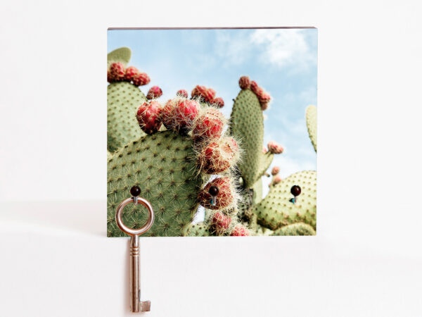 Schlüsselbrett Cactus Fotografie handgemacht von Frau Plonka