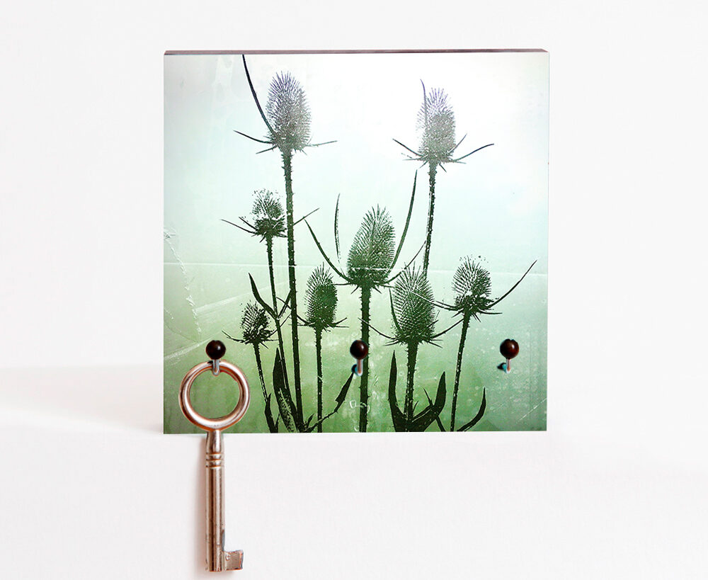 Schlüsselbrett Karde Schlüsselbrett Karde Fotografie handgemacht von Frau Plonka