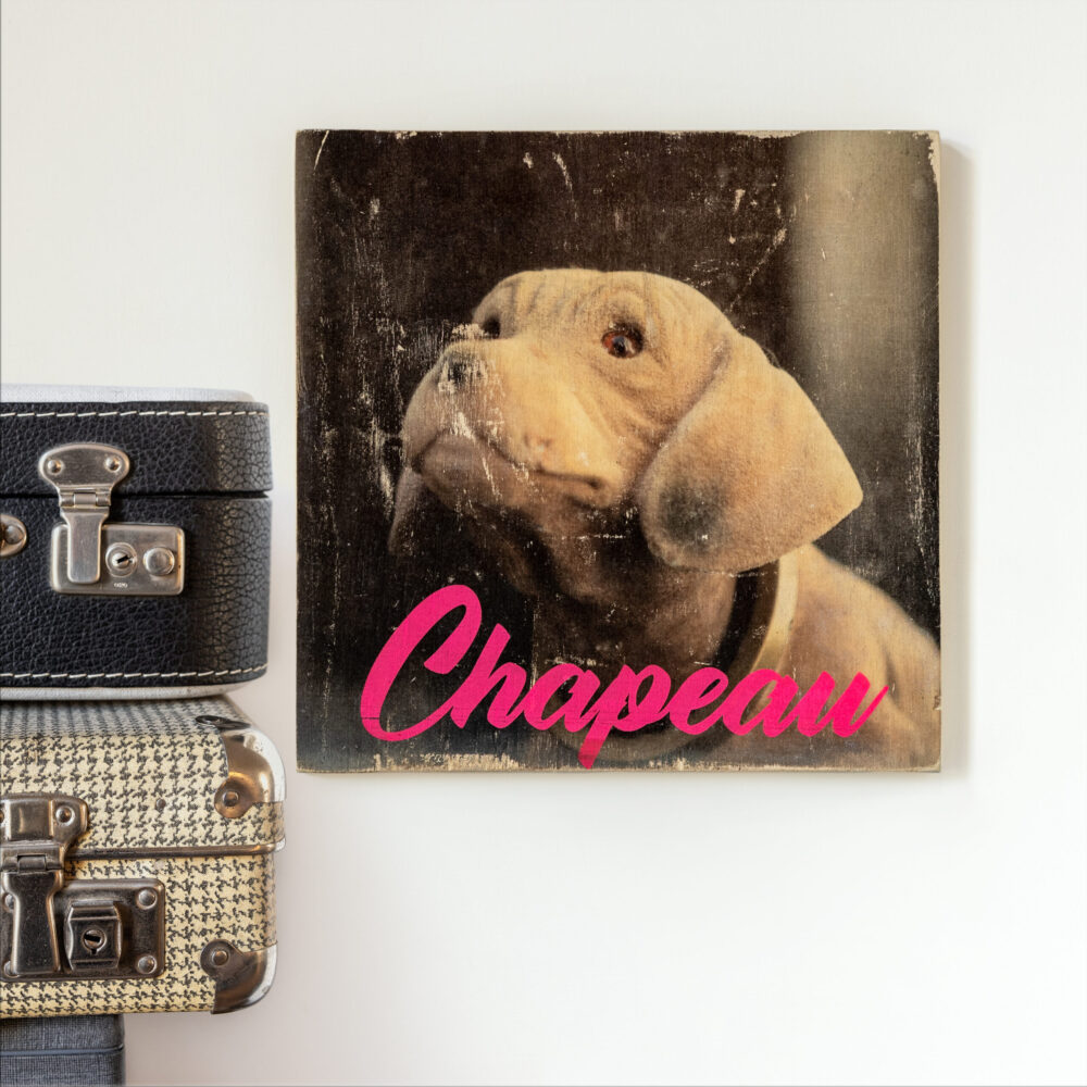 Wackeldackel Chapeau