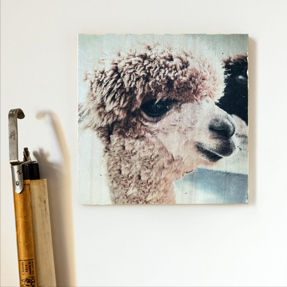 Alpaka Fototransfer auf Holz Alpaka handgefertigt Frau Plonka