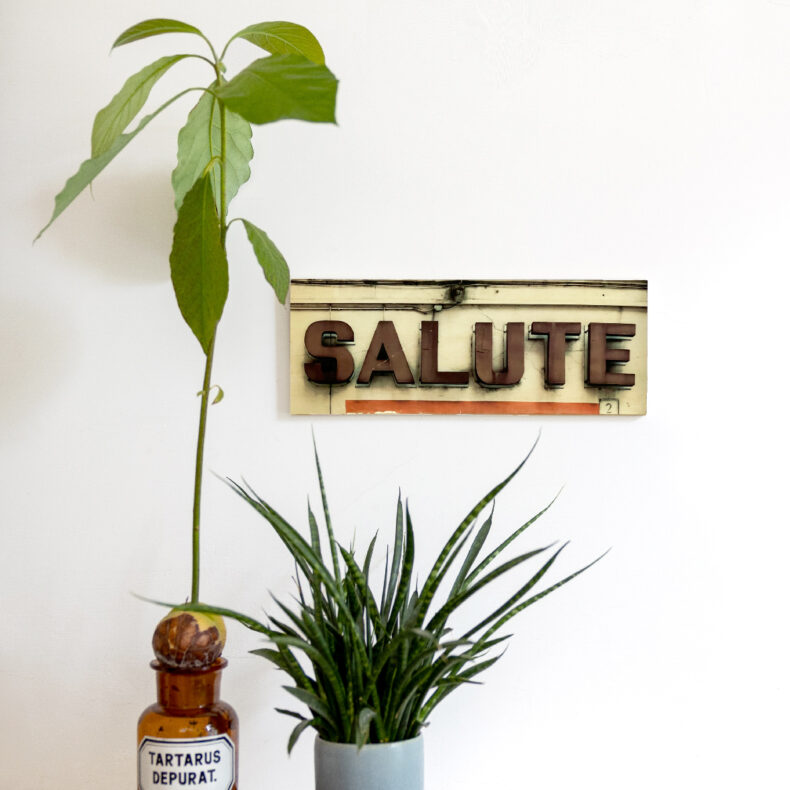 Salute