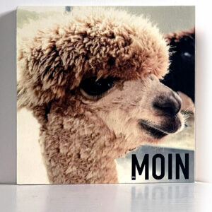 Alpaka MOIN