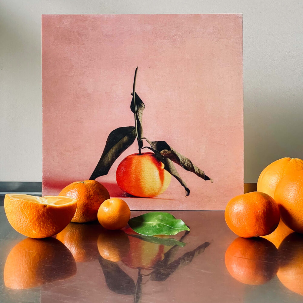 Fototransfer auf Holz Mandarine handgefertigt Frau Plonka